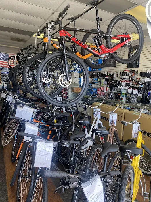 Bikes 4 Life Picture 7