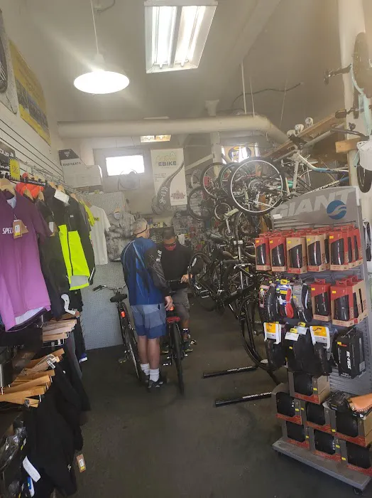Wheels In Motion Skate Shop Picture 7