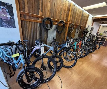 Electric Bike Center Palo Alto