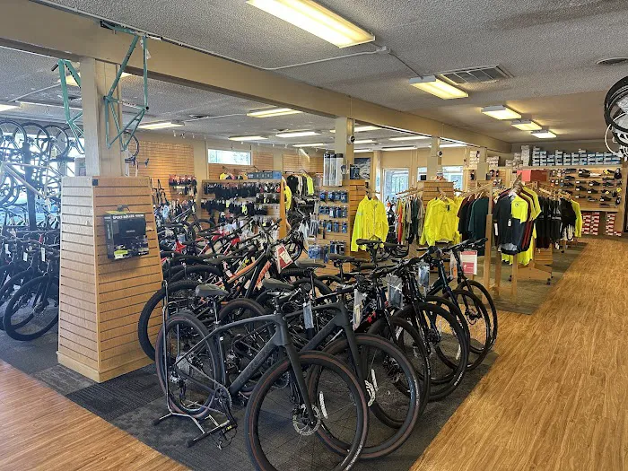 The Bicycle Outfitter Picture 3