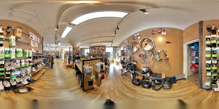 Chain Reaction Bicycles Picture 2