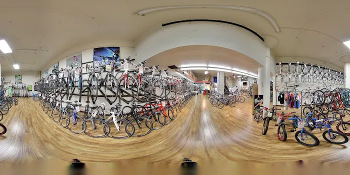Chain Reaction Bicycles Picture 5