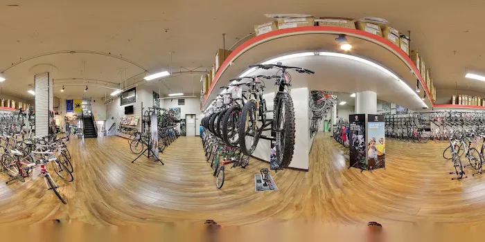 Chain Reaction Bicycles Picture 8