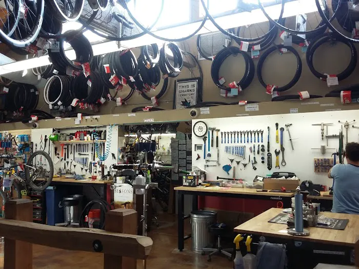 Trail Head Cyclery Picture 4