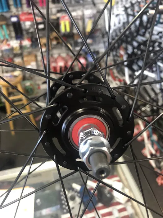 Calabazas Cyclery Picture 9