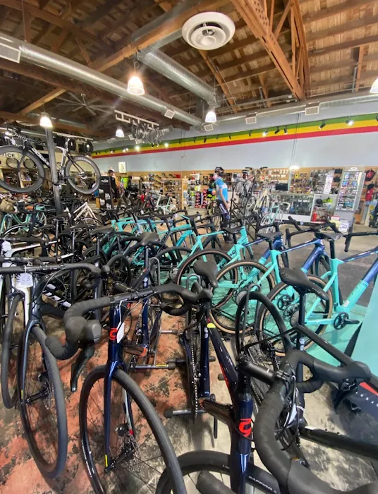 Upshift Cycles Picture 3