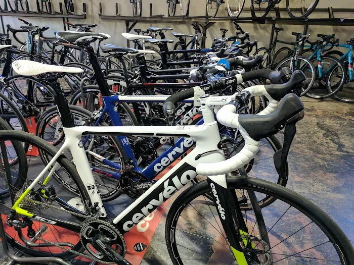 Upshift Cycles Picture 8