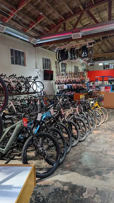 Upshift Cycles Picture 7