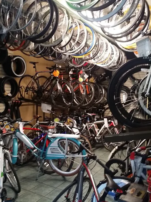 Bicycle Express Picture 2
