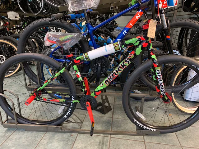 Bicycle Express Picture 3
