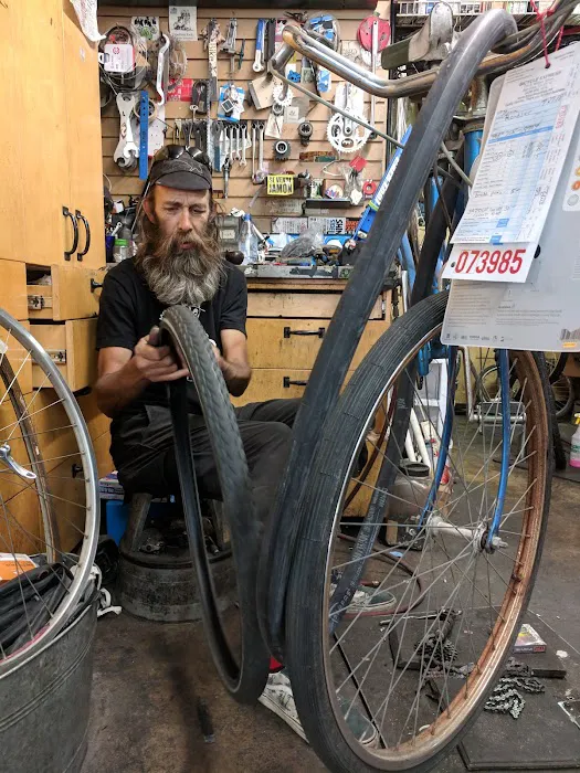 Bicycle Express Picture 6