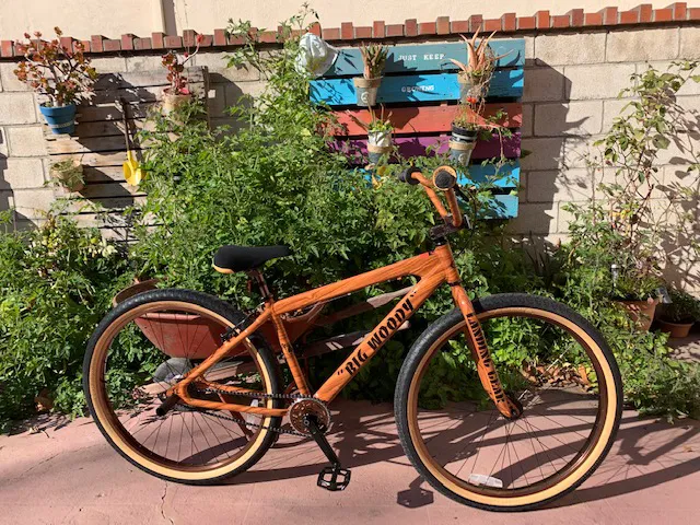 Bicycle Express Picture 8
