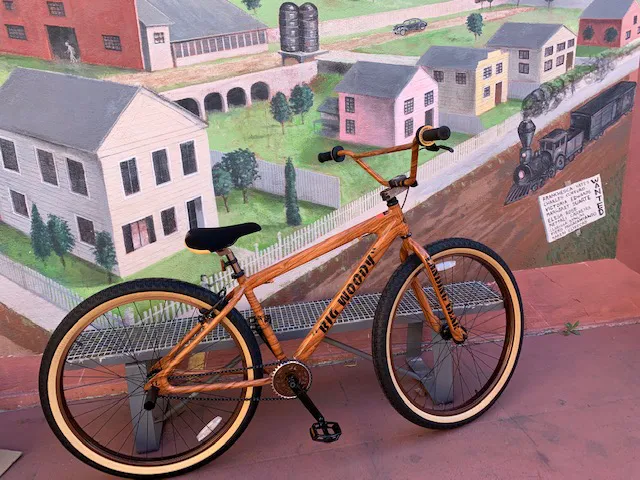 Bicycle Express Picture 4