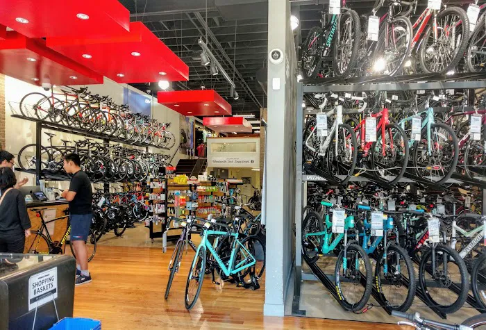 Mike's Bikes of San Jose Picture 3