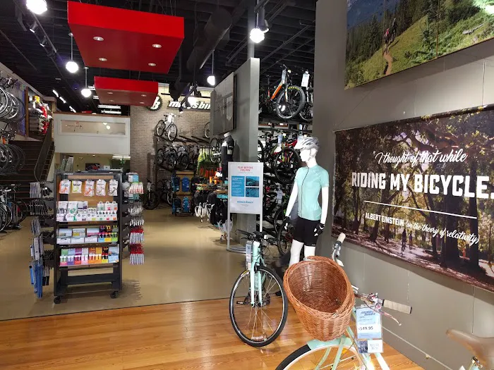 Mike's Bikes of San Jose Picture 2