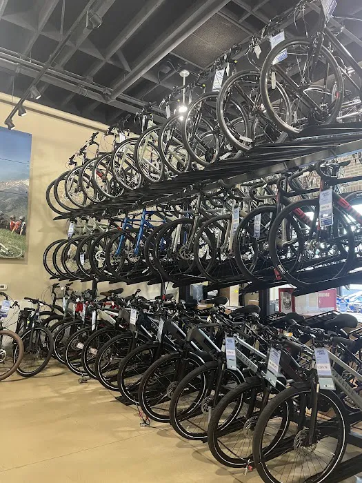 Mike's Bikes of San Jose Picture 6