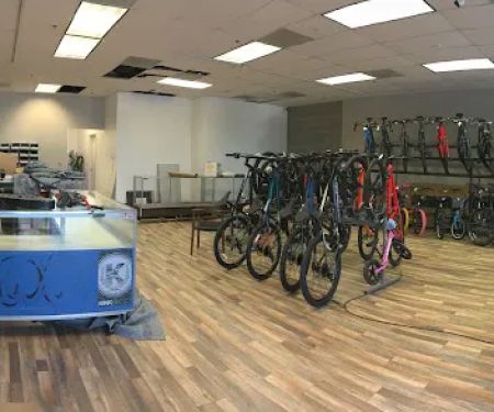 The Bike Shop
