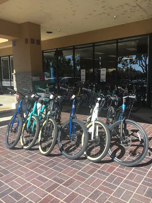 The Bike Shop Picture 4