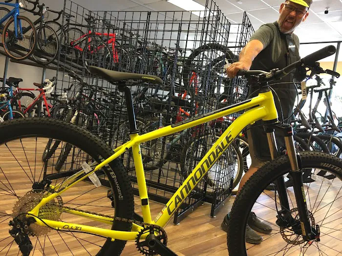 The Bike Shop Picture 3