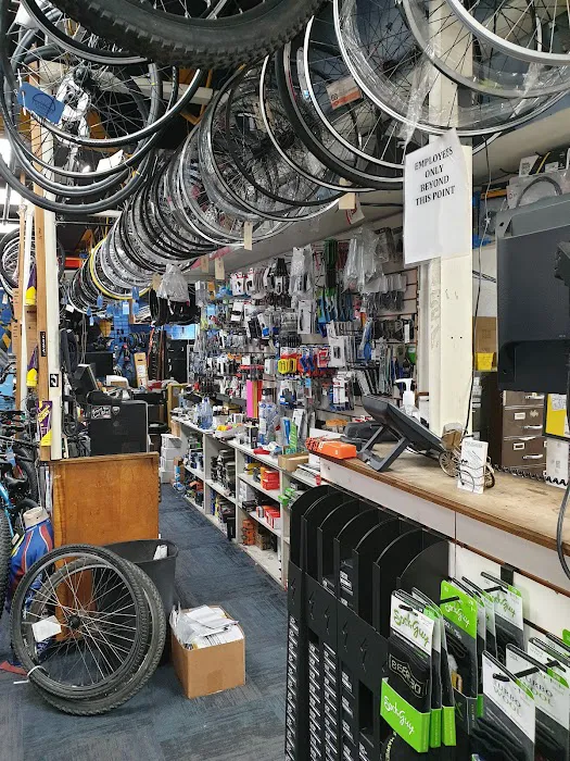 The Pedaler Bike Shop Picture 5