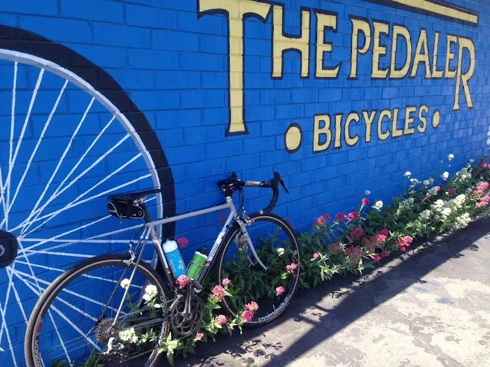 The Pedaler Bike Shop Picture 3