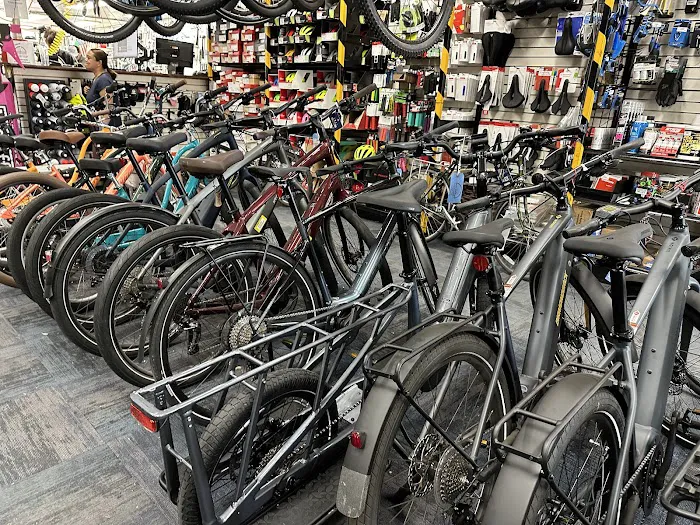 The Pedaler Bike Shop Picture 10
