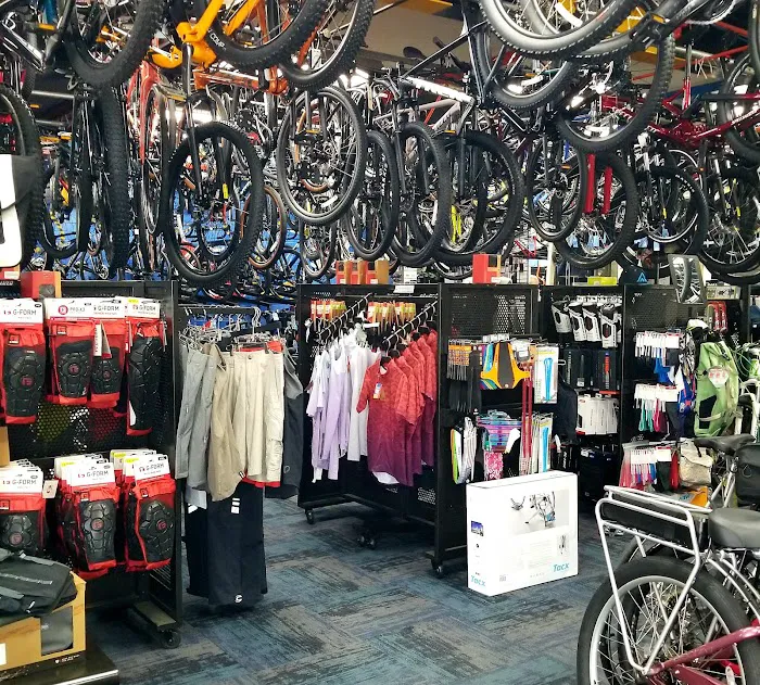 The Pedaler Bike Shop Picture 8