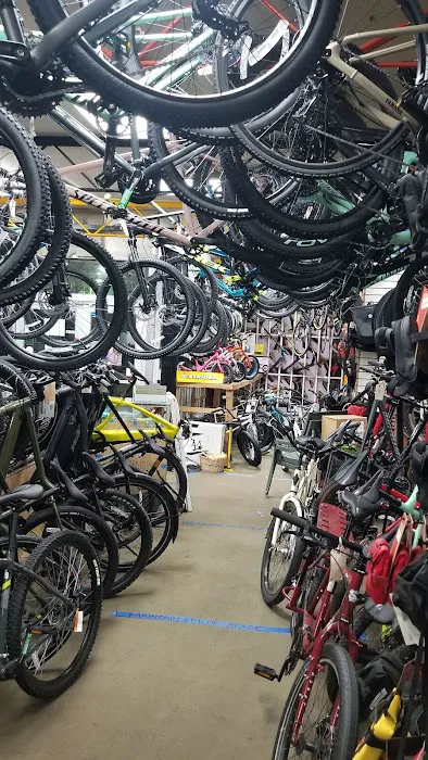 The Pedaler Bike Shop Picture 9