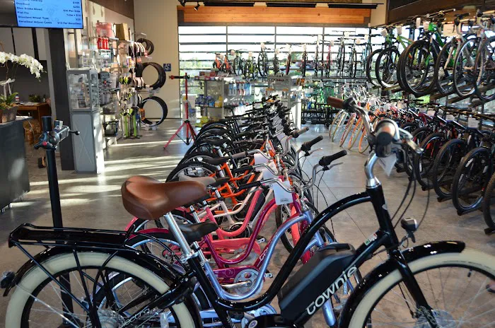 Trek Bicycle Napa Picture 3