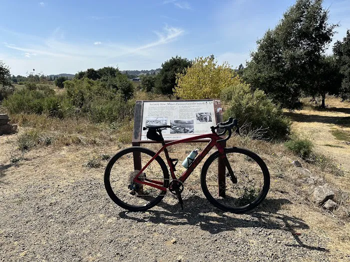 Trek Bicycle Napa Picture 9