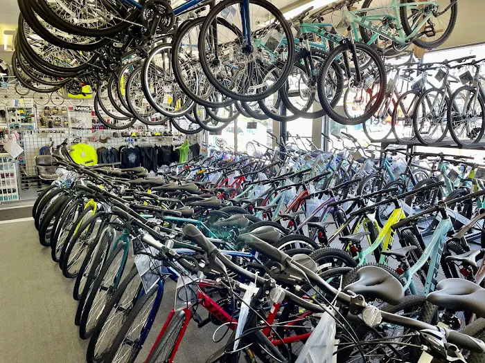 California Sports & Cyclery Picture 5