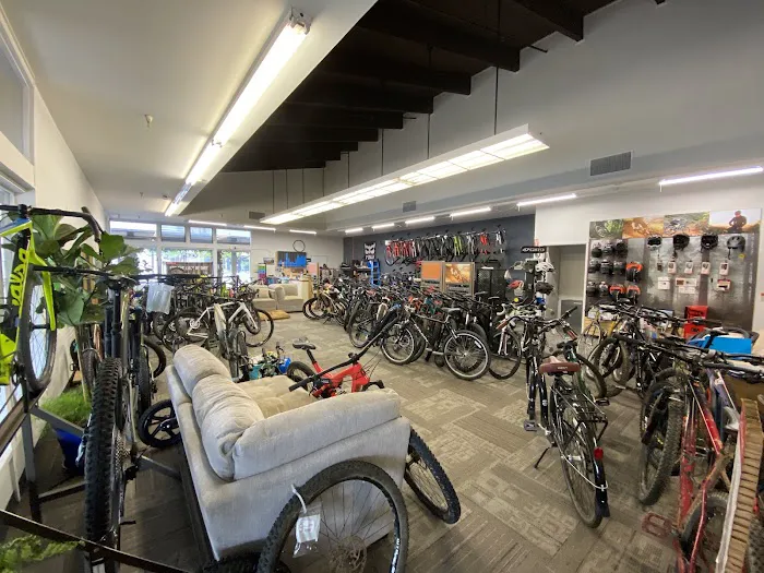 BelMont Bikes Picture 2