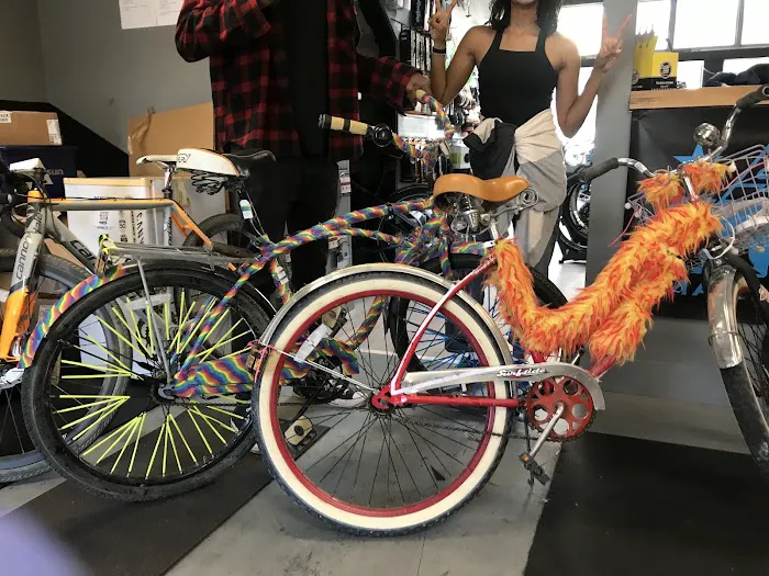 Straight Wheel Cycling Picture 6