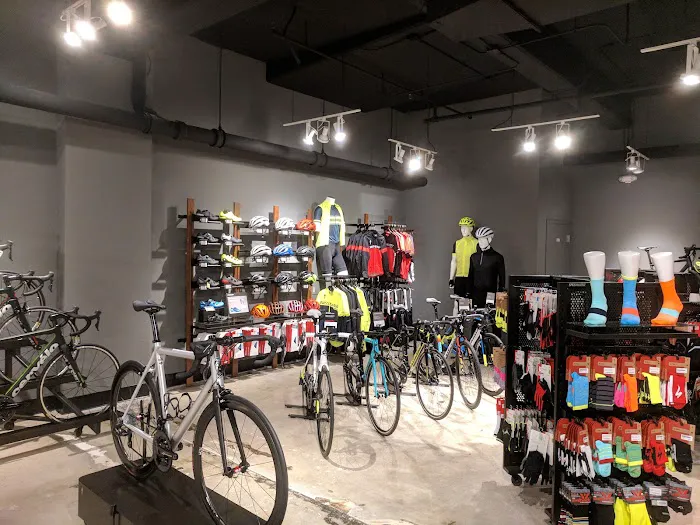 Cognition Cyclery Picture 2