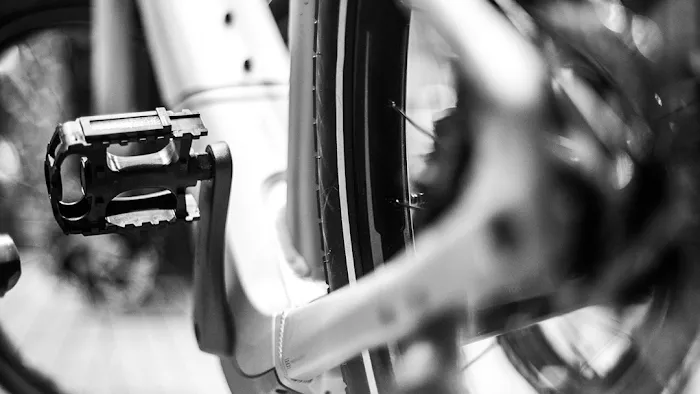 Cognition Cyclery Picture 3