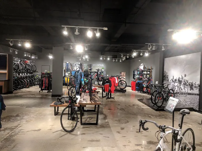 Cognition Cyclery Picture 5