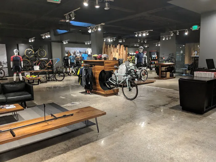 Cognition Cyclery Picture 9