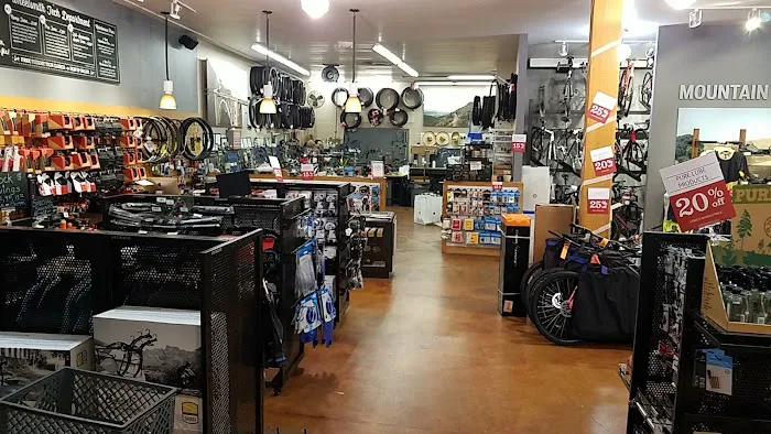 Mike's Bikes of Los Gatos Picture 1