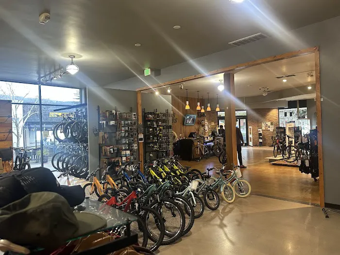Mike's Bikes of Los Gatos Picture 5