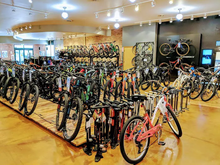 Mike's Bikes of Los Gatos Picture 6