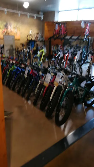 Mike's Bikes of Los Gatos Picture 8