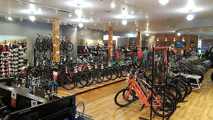 Mike's Bikes of Los Gatos Picture 9