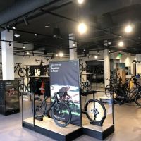 Specialized Los Gatos ico