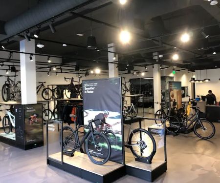 Specialized Los Gatos