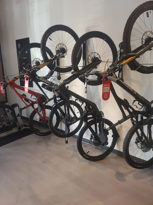 Specialized Los Gatos Picture 5