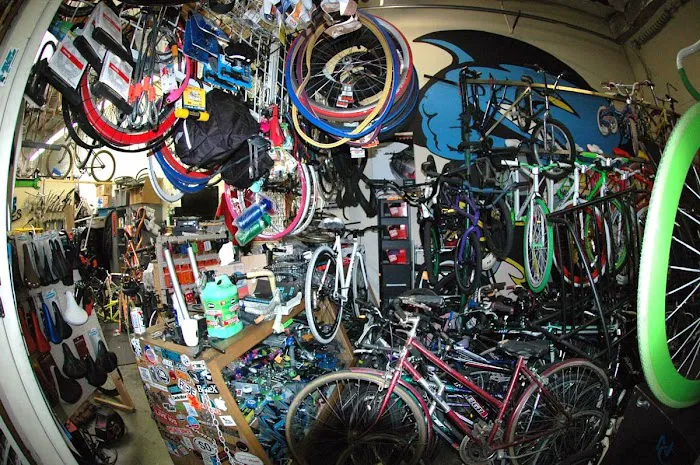 San Jose Bicycles Picture 7