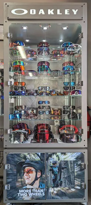 Sun Bike Shop Picture 4