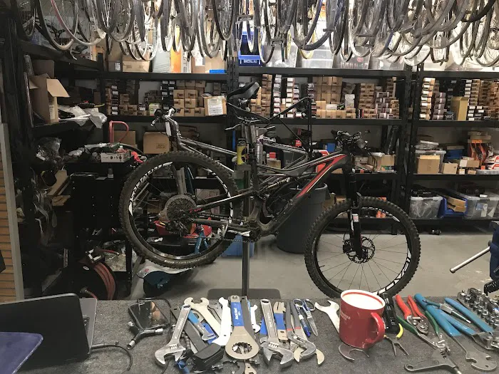 Got Bikes? Picture 5