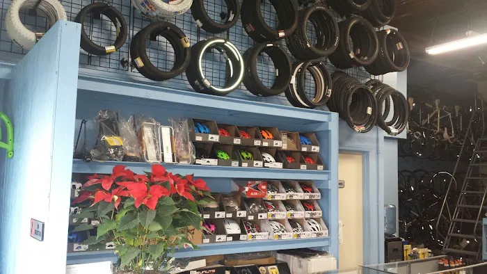Got Bikes? Picture 9