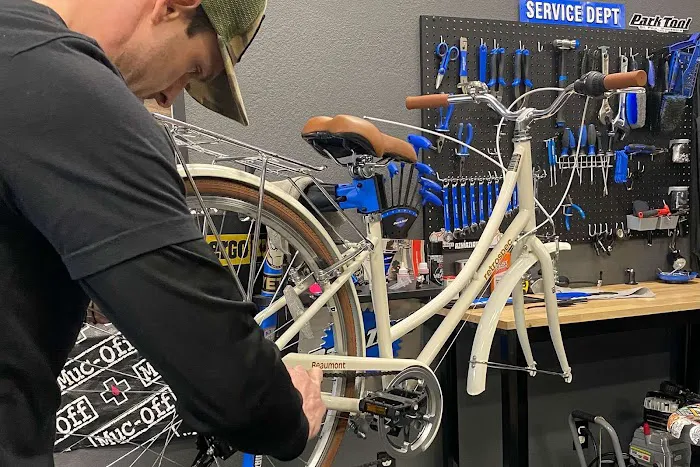 Fat Tire Bike Rentals Picture 2